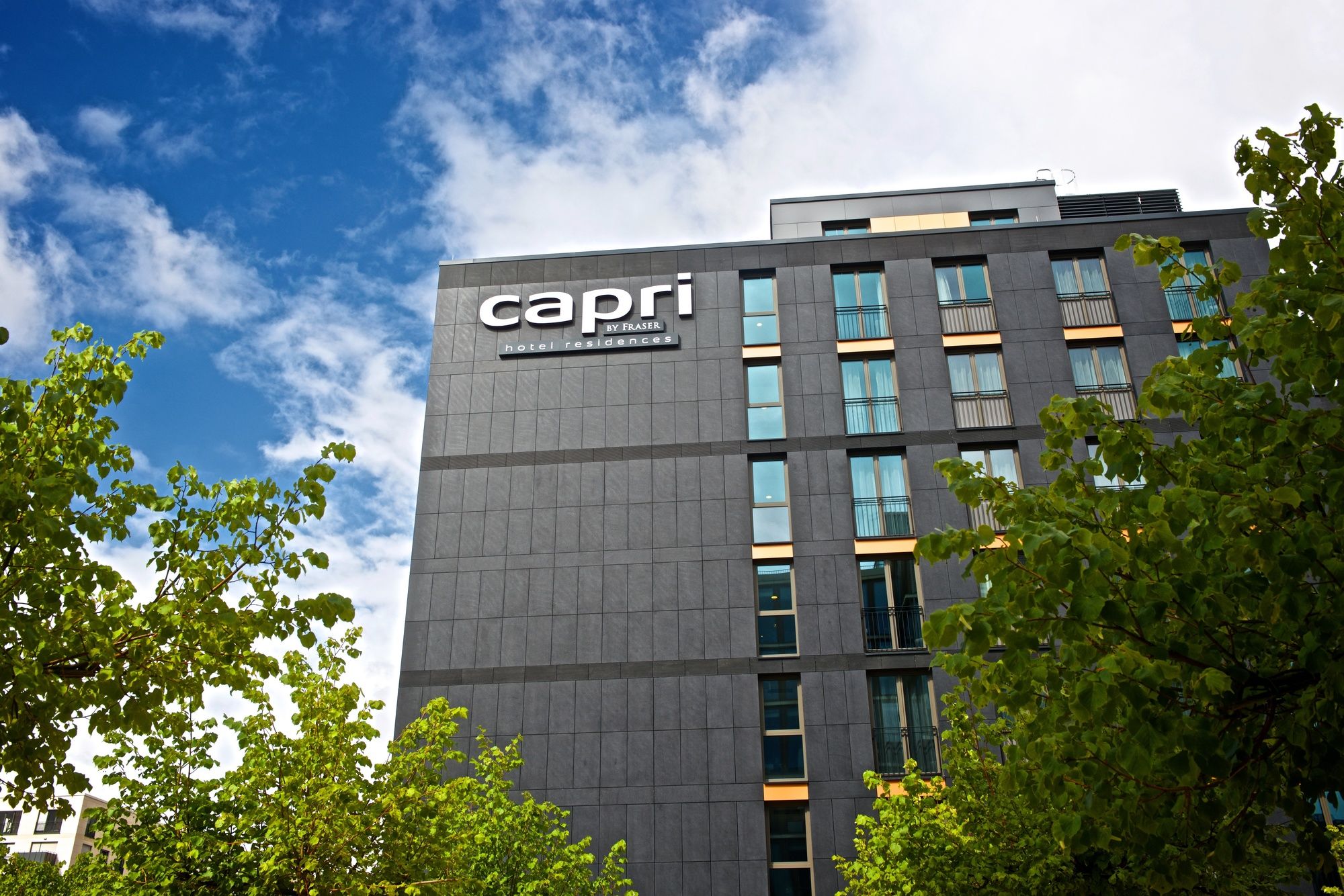 Capri by Fraser Frankfurt