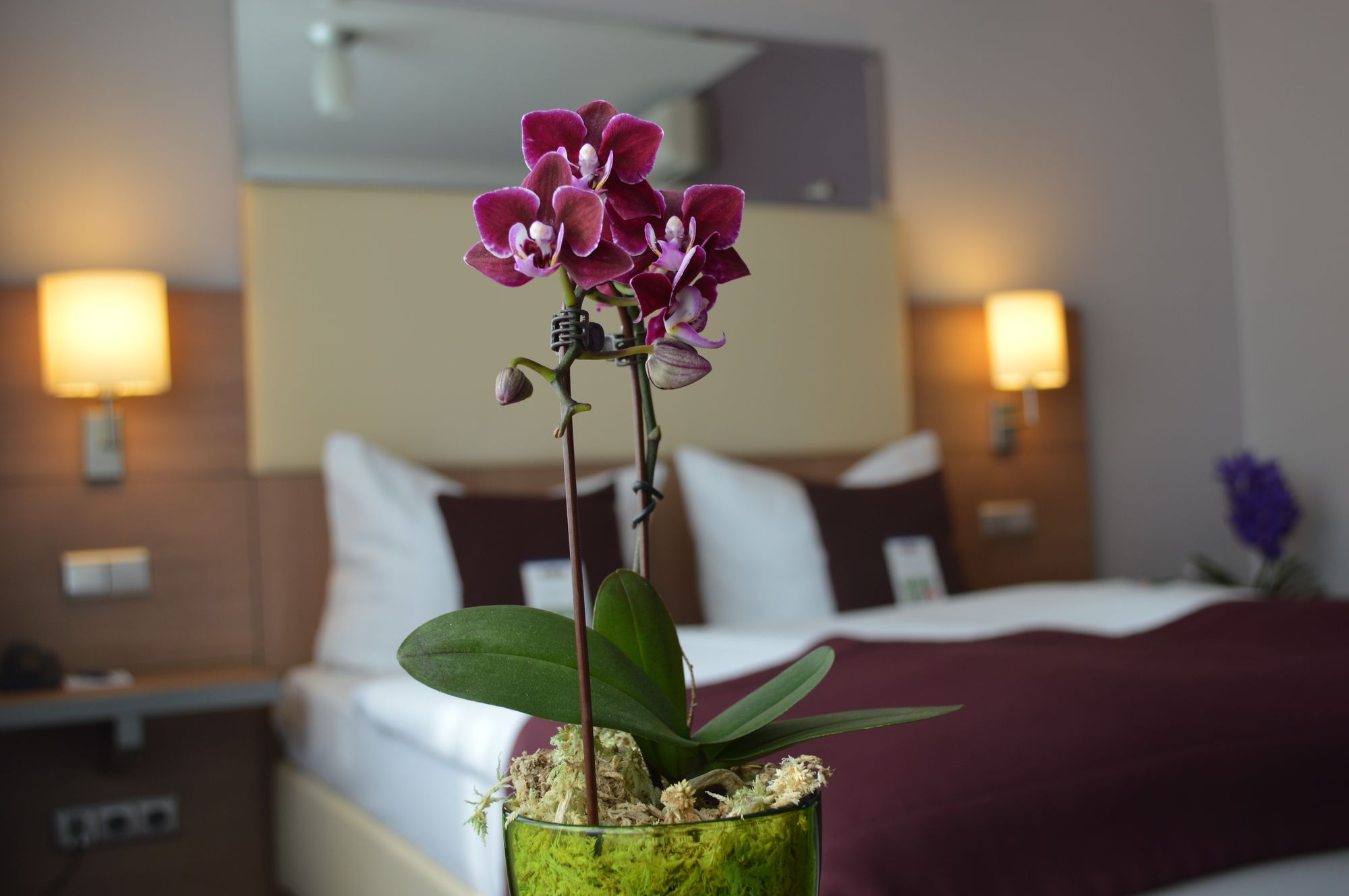 Hotel Scala
