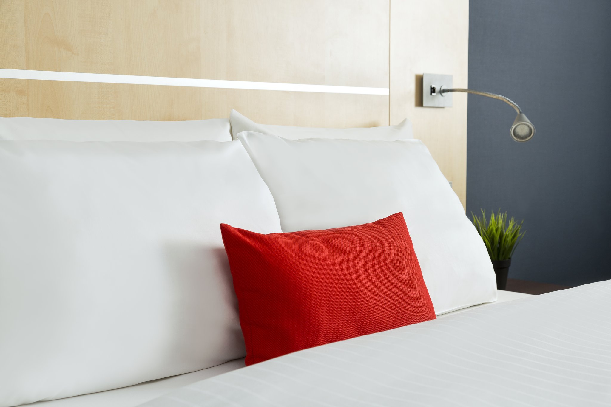 Holiday Inn Express Frankfurt Messe