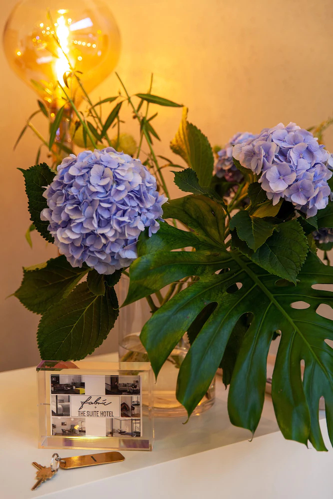 The Suite Fabric Hotel