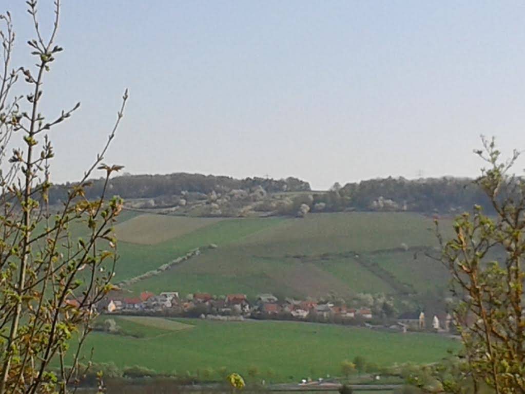 Weinherberge Rebgut