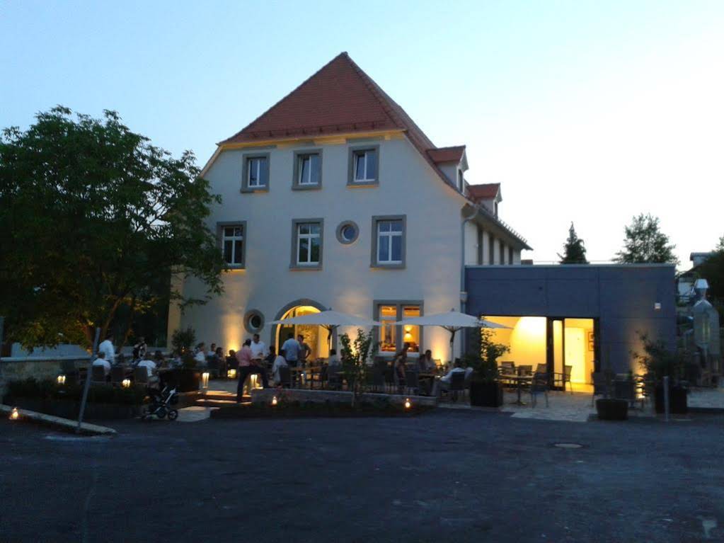 Weinherberge Rebgut