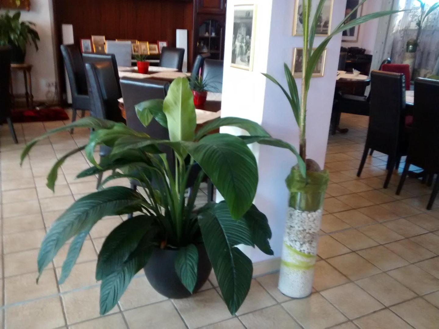 Hotel Attache Frankfurt Airport