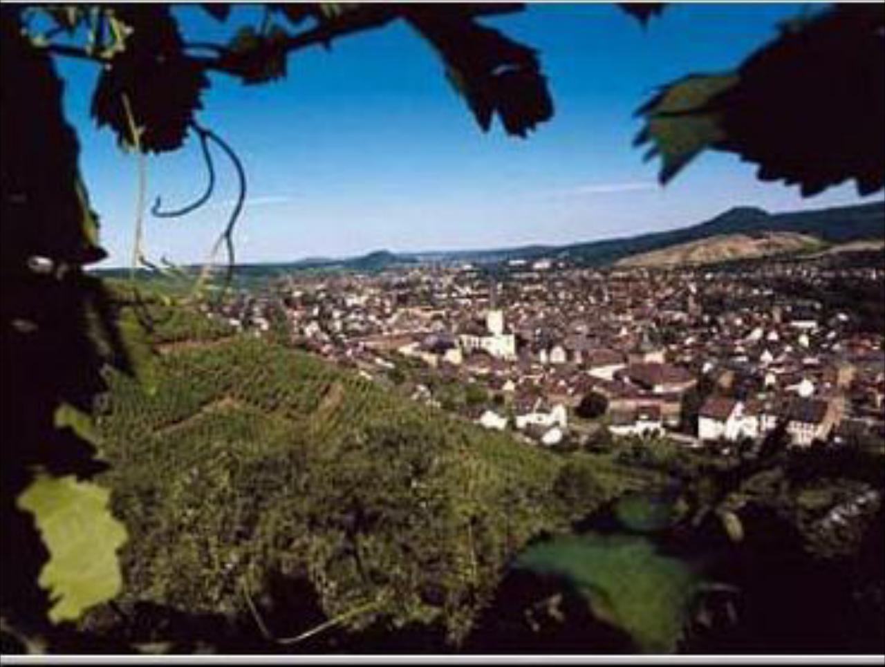 Rhein INN