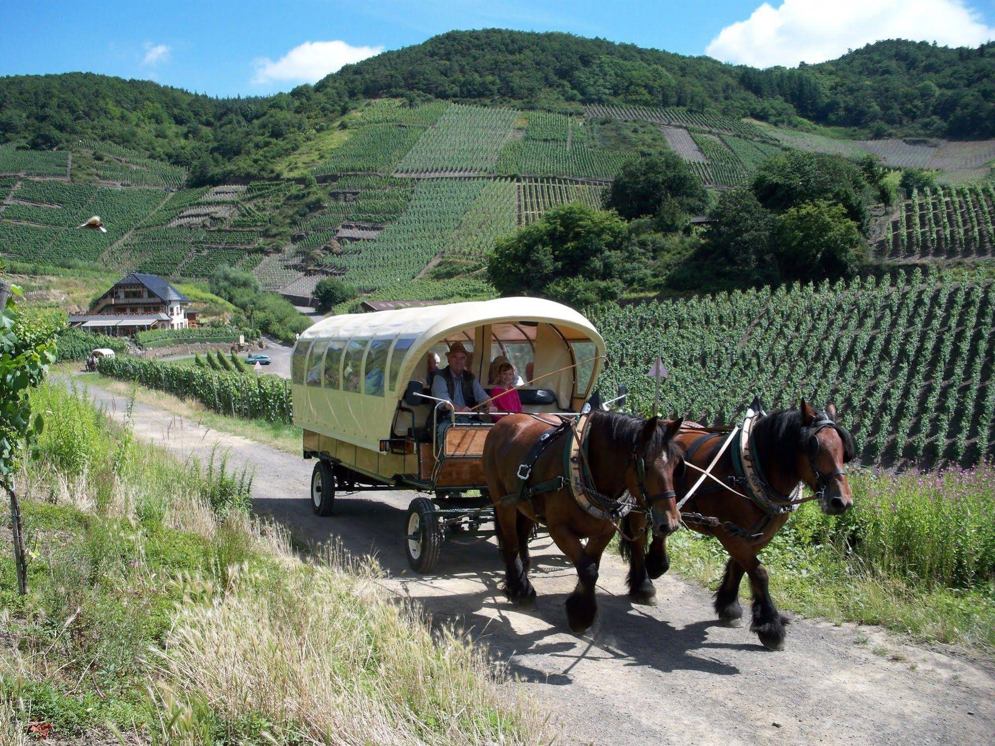 Rhineland Holiday Pinger Hotels