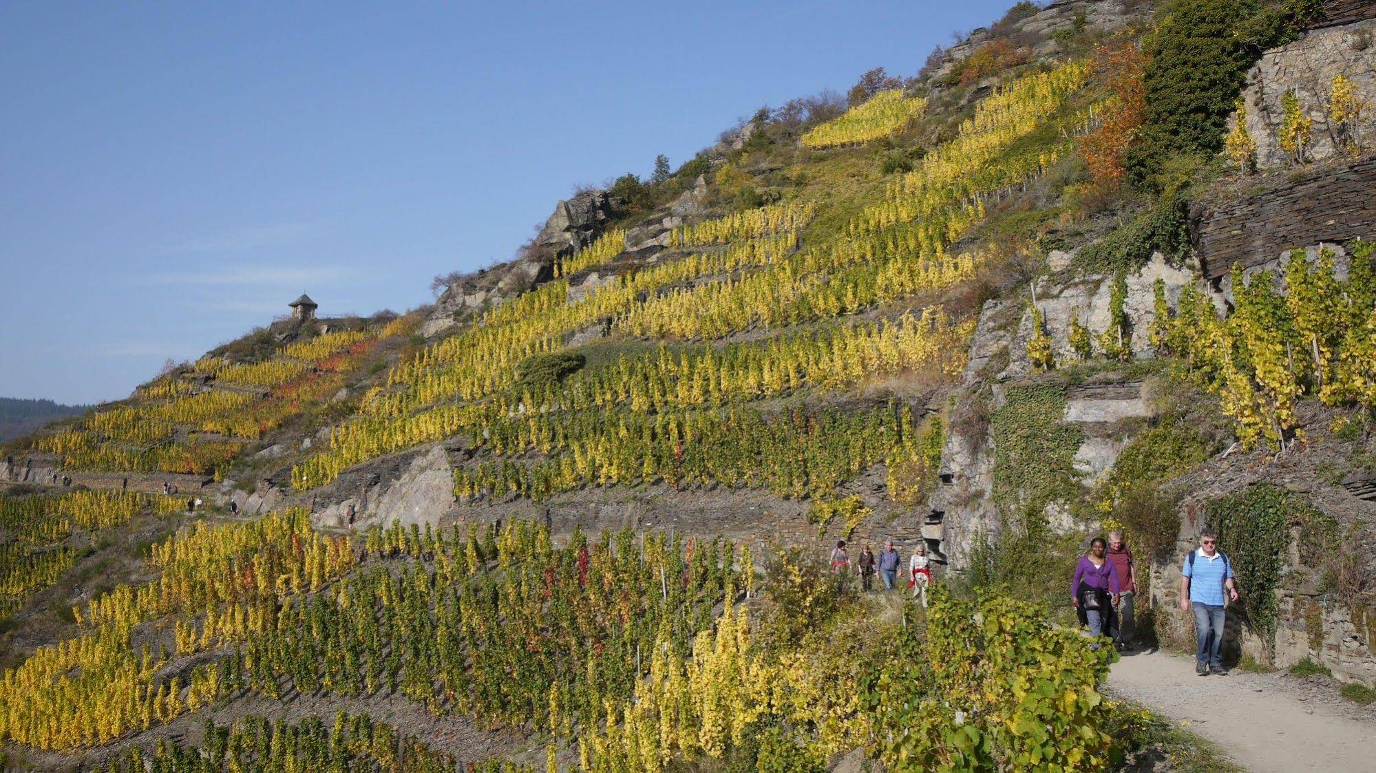 Rhineland Holiday Pinger Hotels