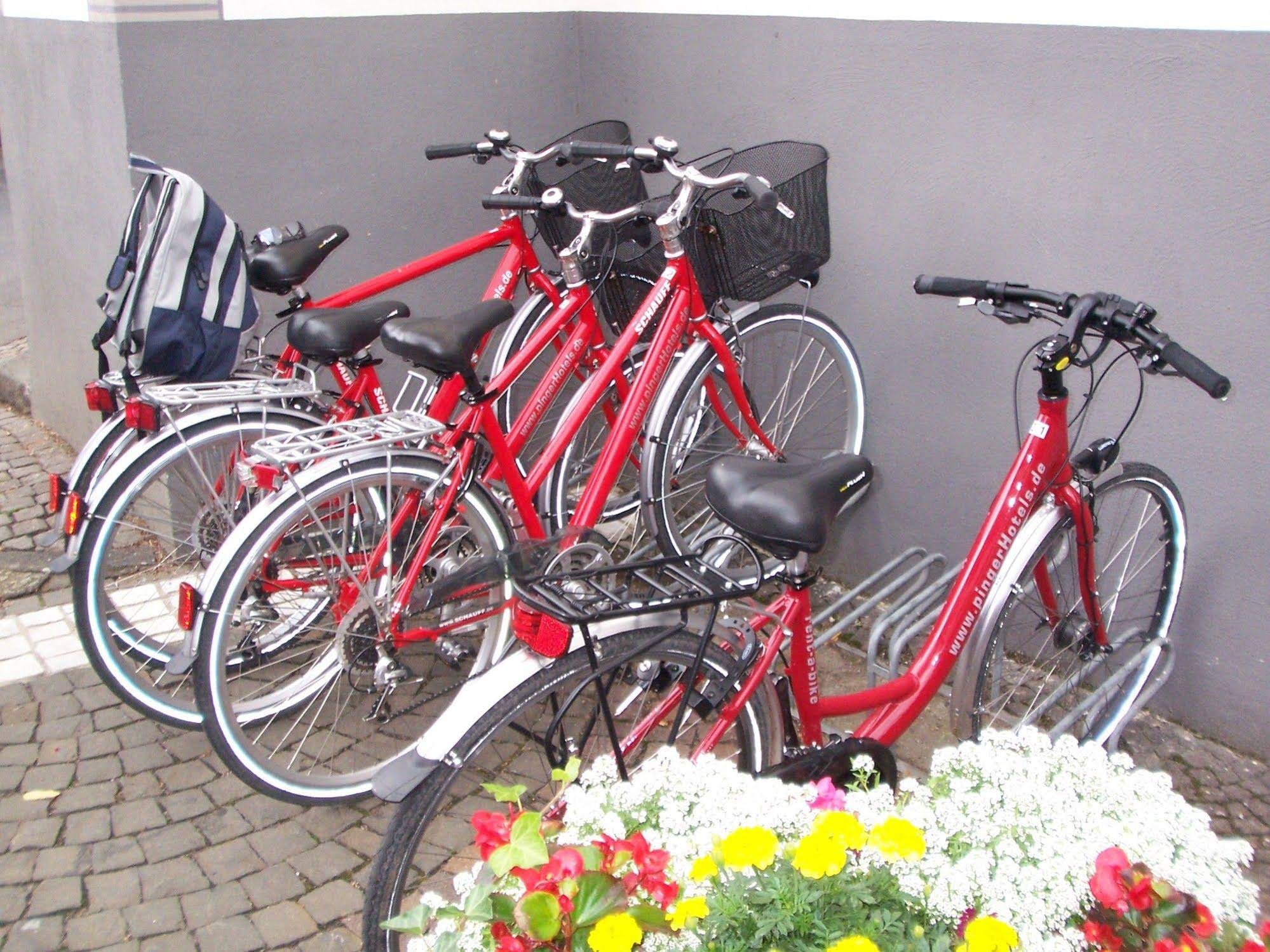 Rhineland Holiday Pinger Hotels