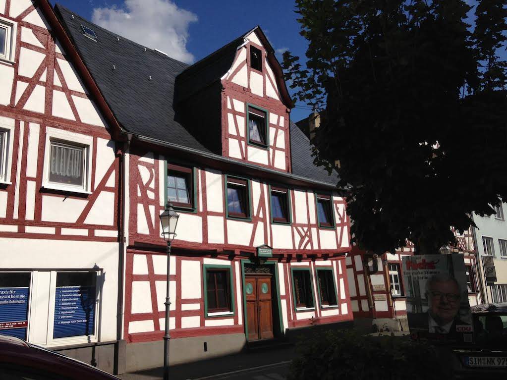 Roter Ochse