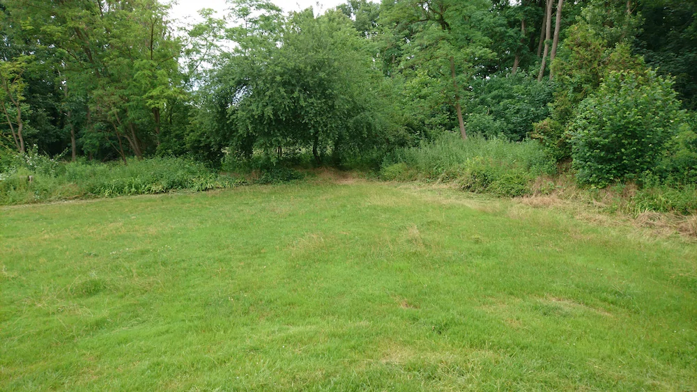 Danhof