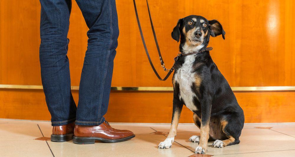 Victor's Seehotel Weingärtner