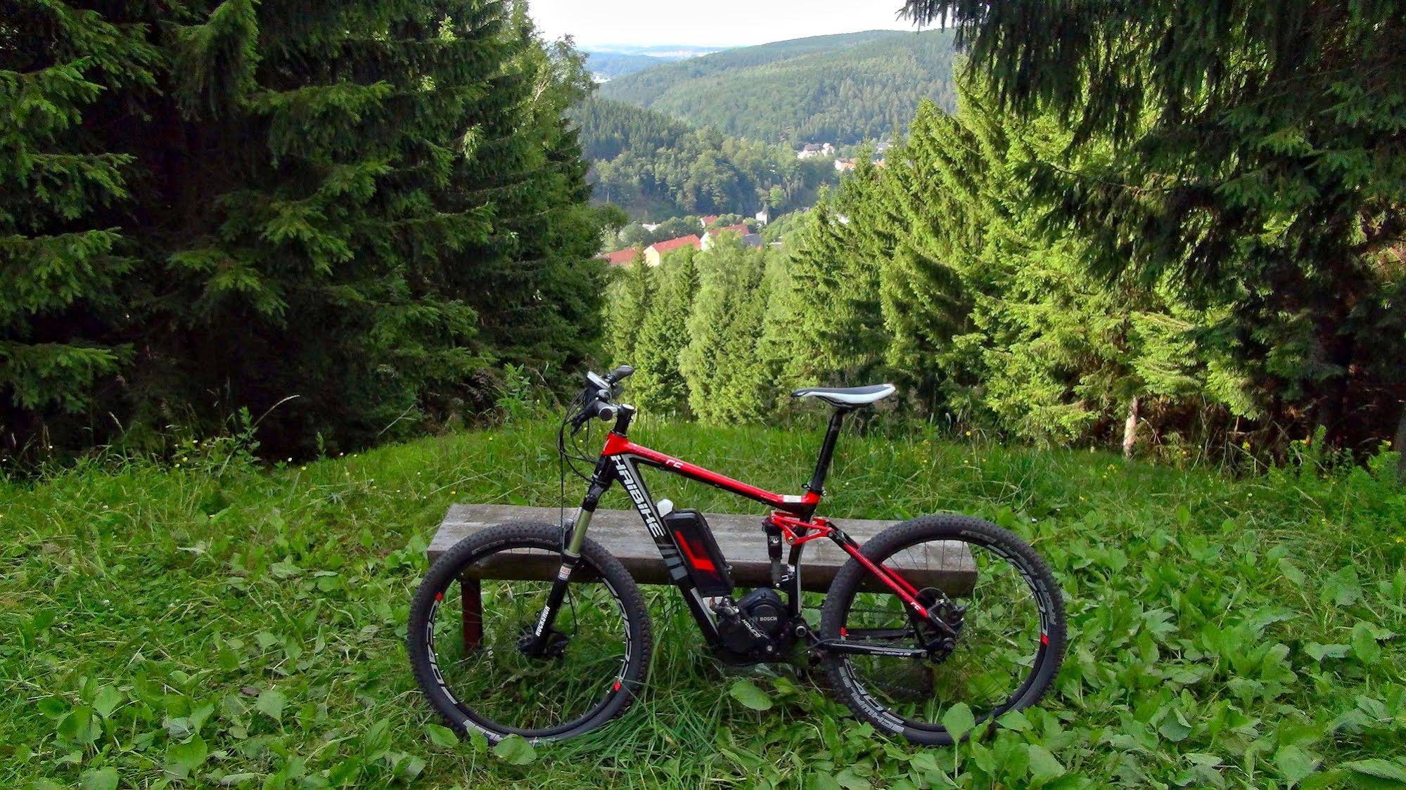Naturhotel Gasthof Bärenfels