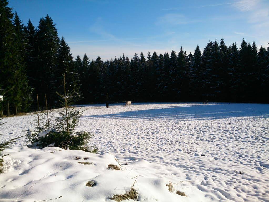 Waldhotel Zöbischhaus