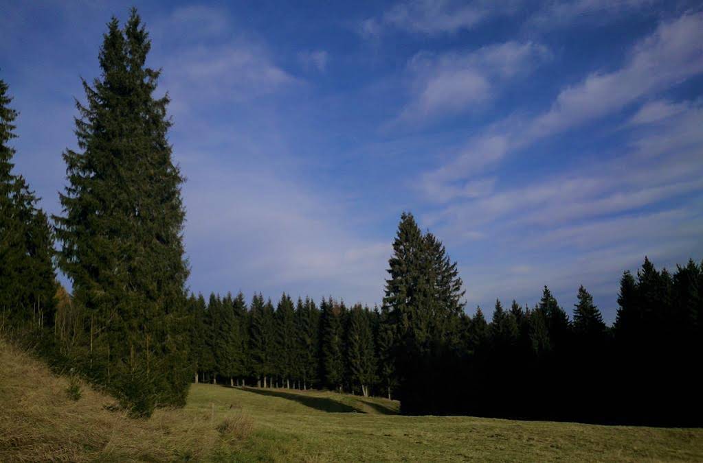 Waldhotel Zöbischhaus