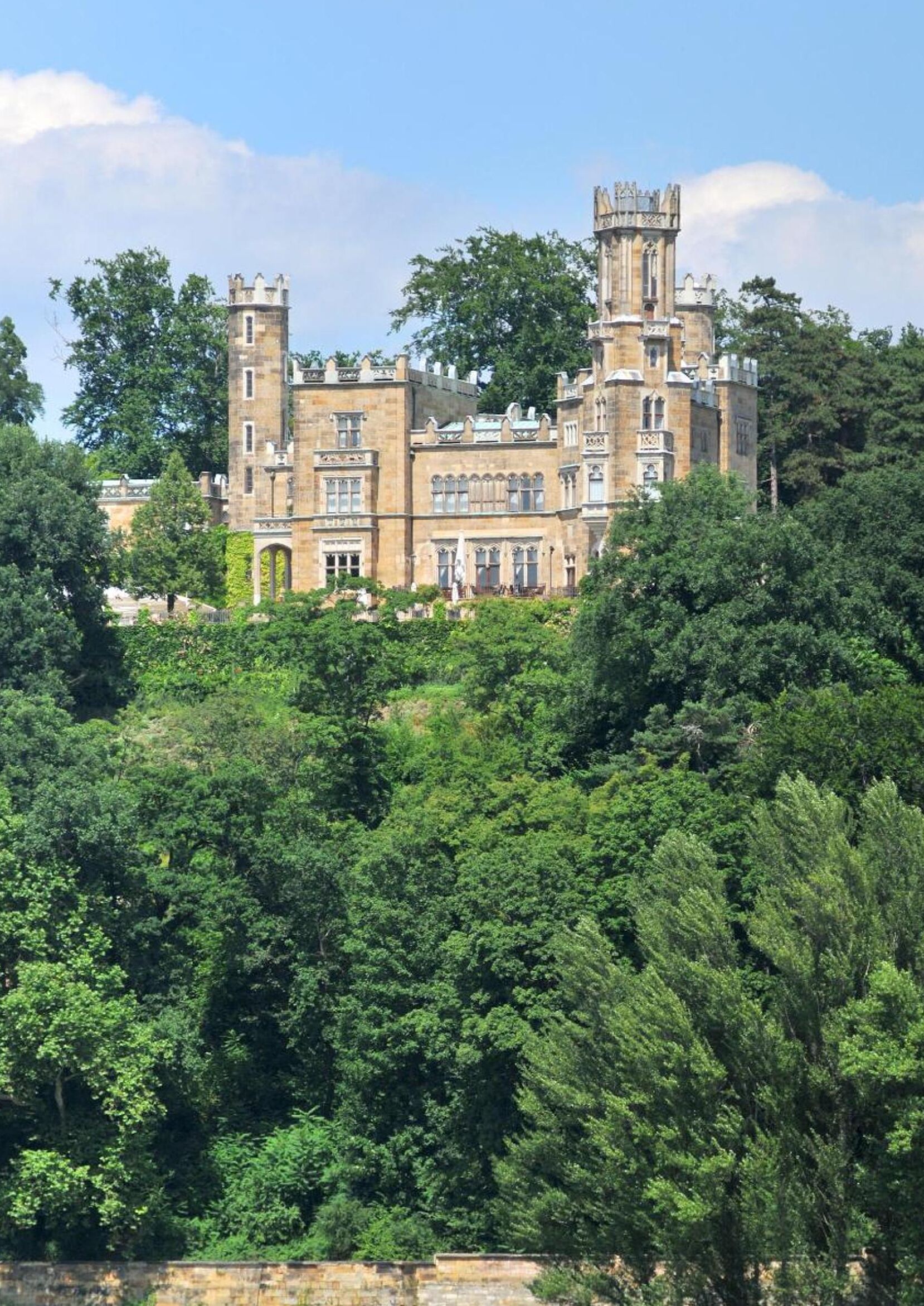 Grüne Idylle im Dresdener Süden