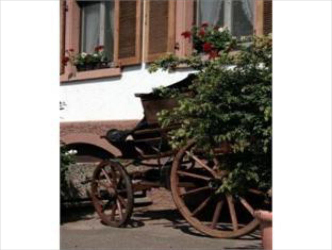 Grüner Baum Landgasthof