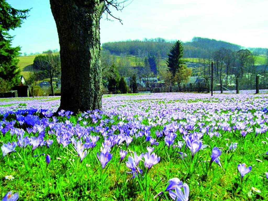 Berghotel Drei Brüder Höhe