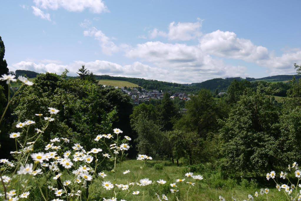 Parkhotel Schwarzenberg - Garni