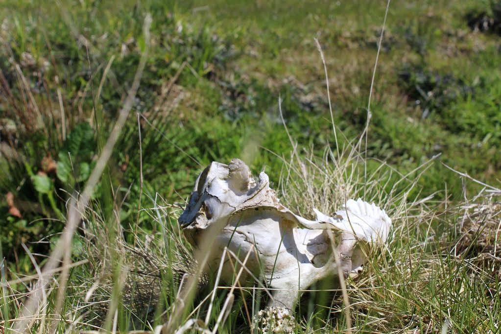 Waldgasthof Bad Einsiedel