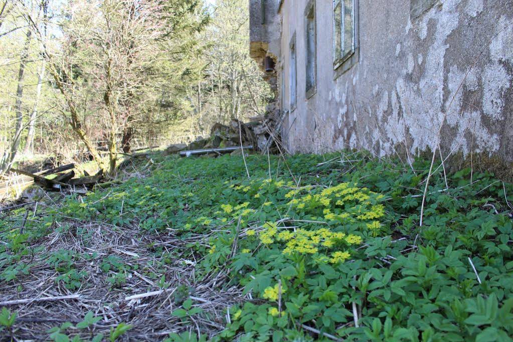 Waldgasthof Bad Einsiedel