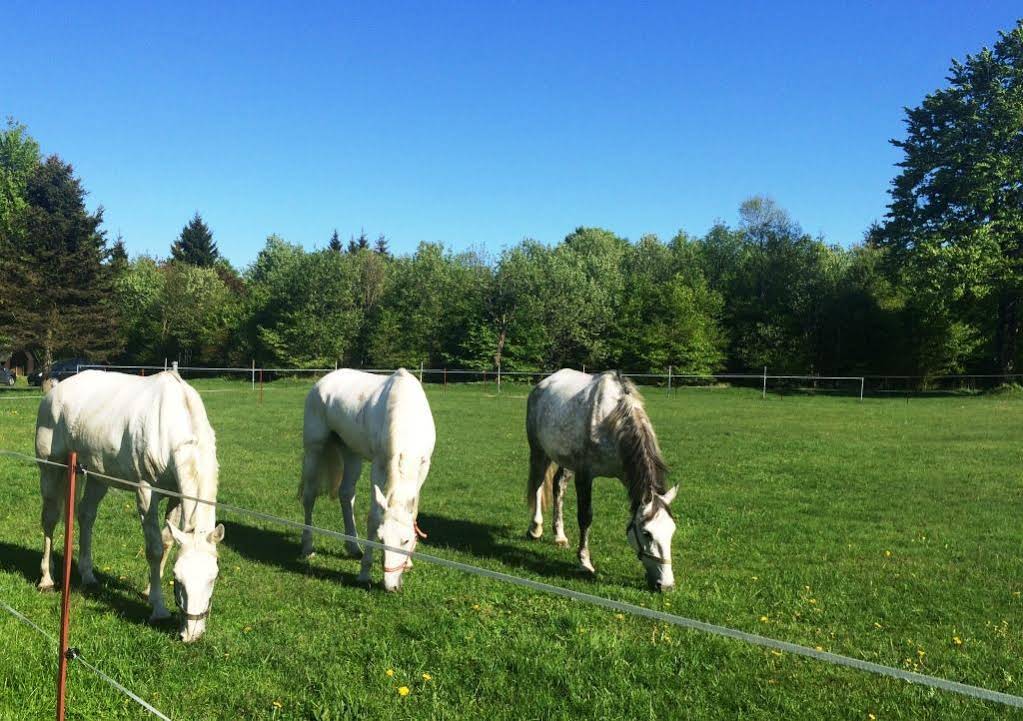 Waldgasthof Bad Einsiedel