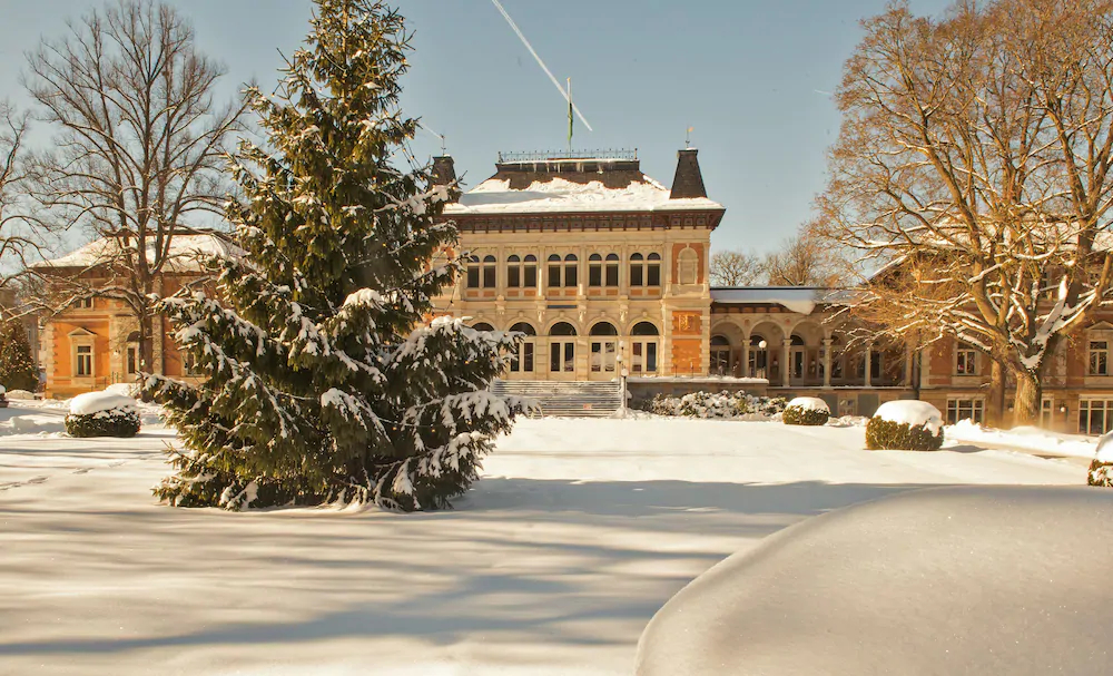 Hotel König Albert