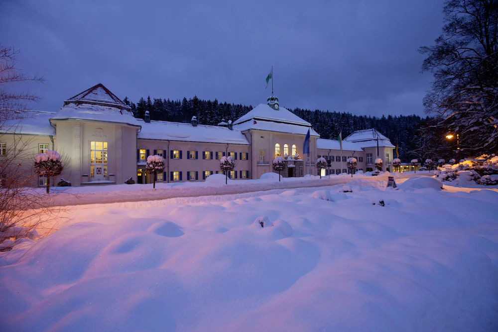 Hotel König Albert