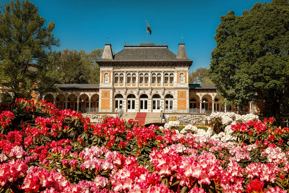 Hotel König Albert