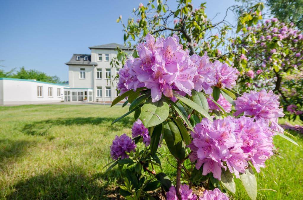 Hotel Siegmar im Geschäftshaus