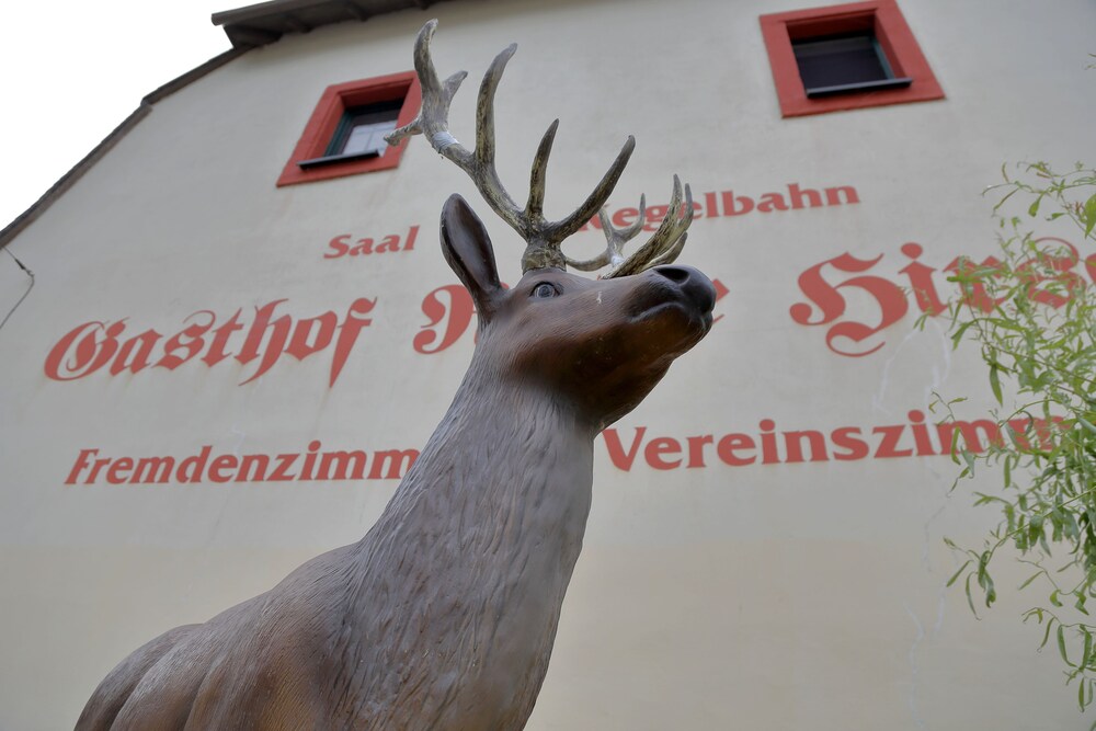 Roter Hirsch
