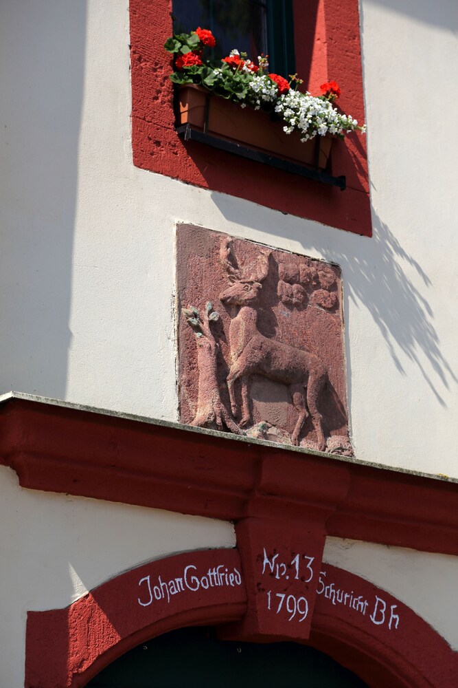 Roter Hirsch