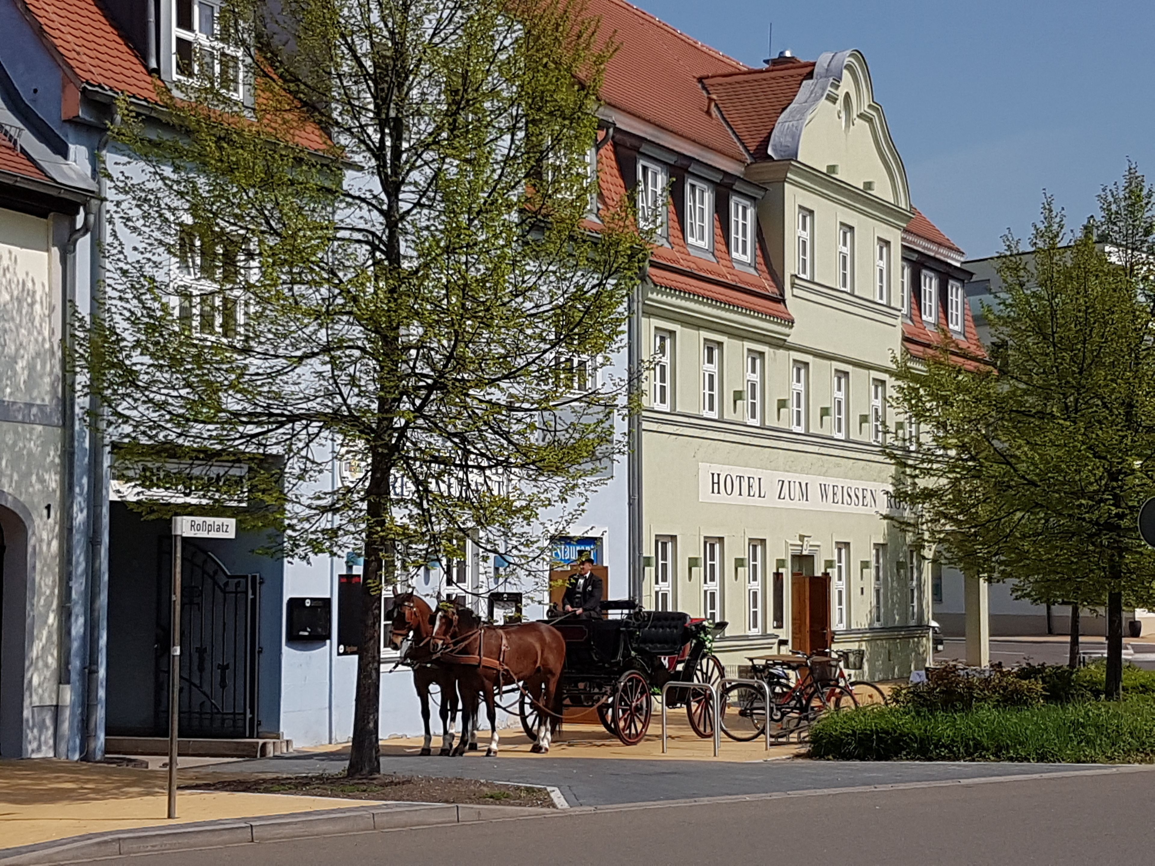 Zum Weissen Ross