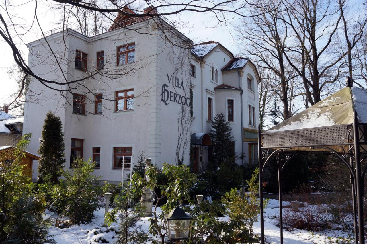 Villa Herzog