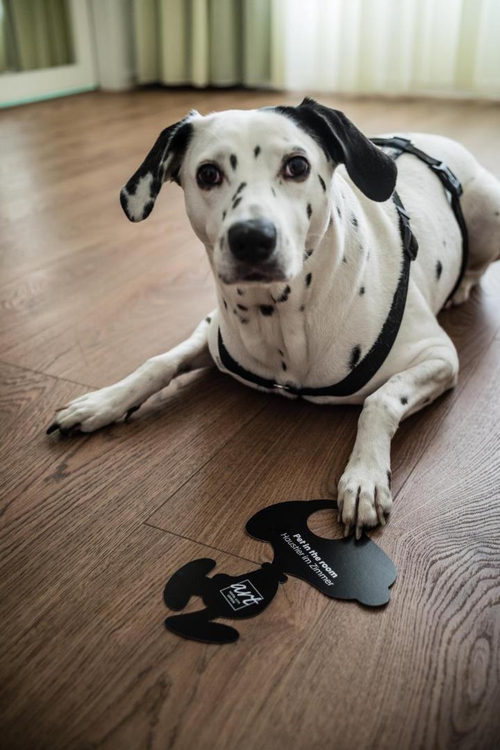 Art Hotel City Leipzig