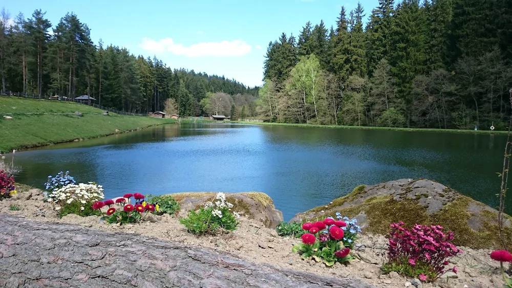 Gläserner Bauernhof