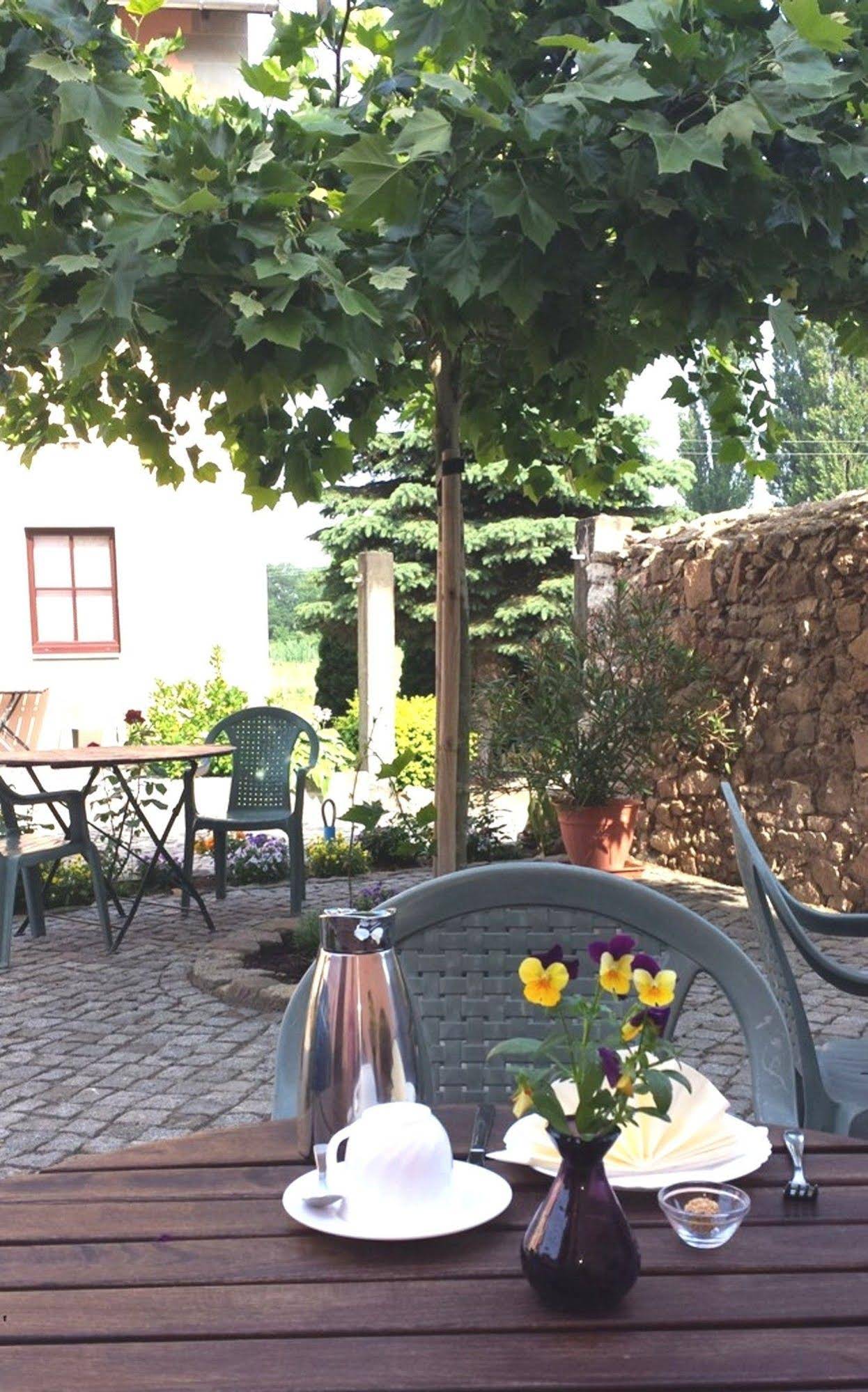Marlis Pension