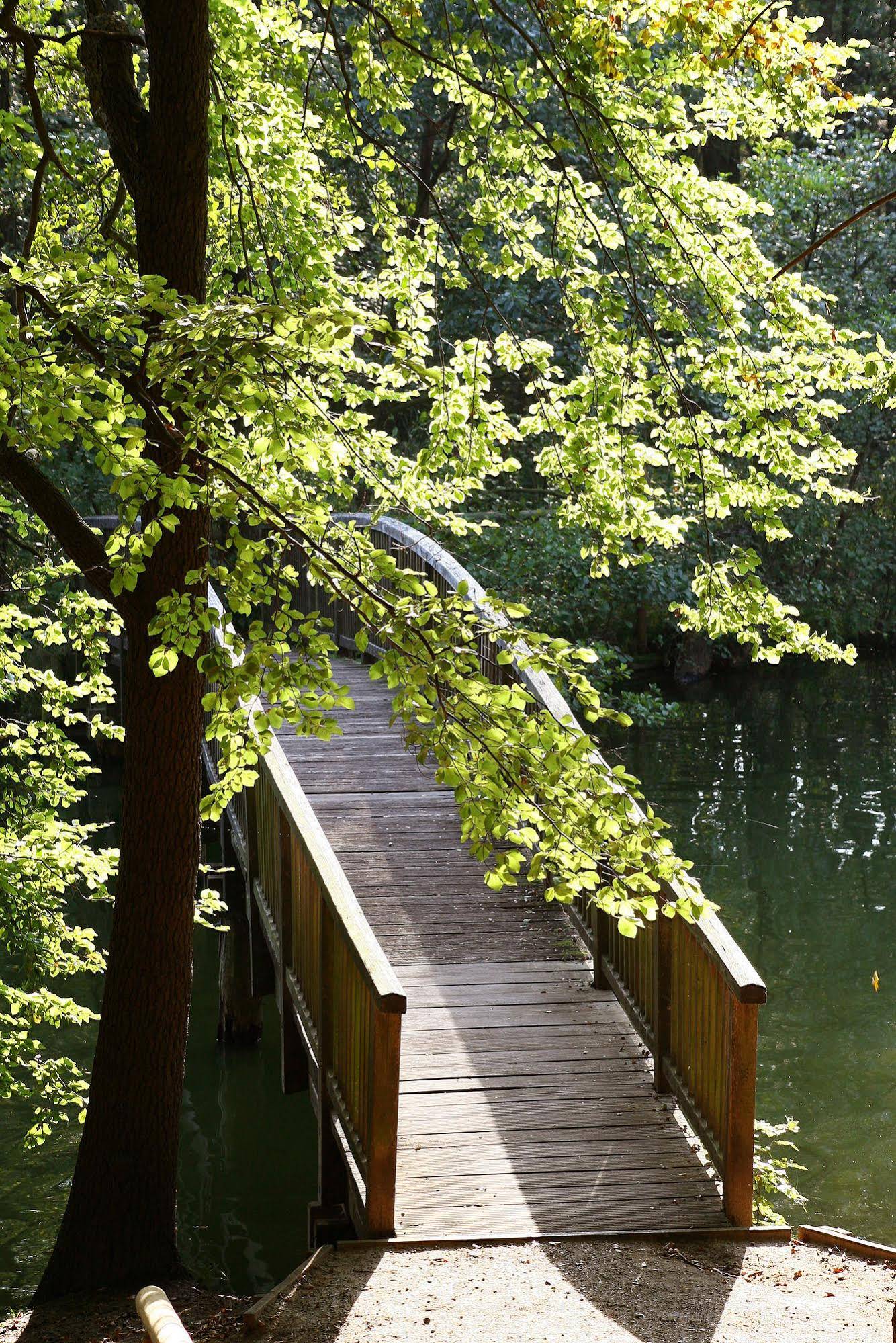 Waldhalle