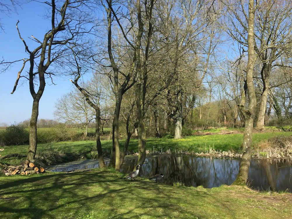Gutshof Rothensande