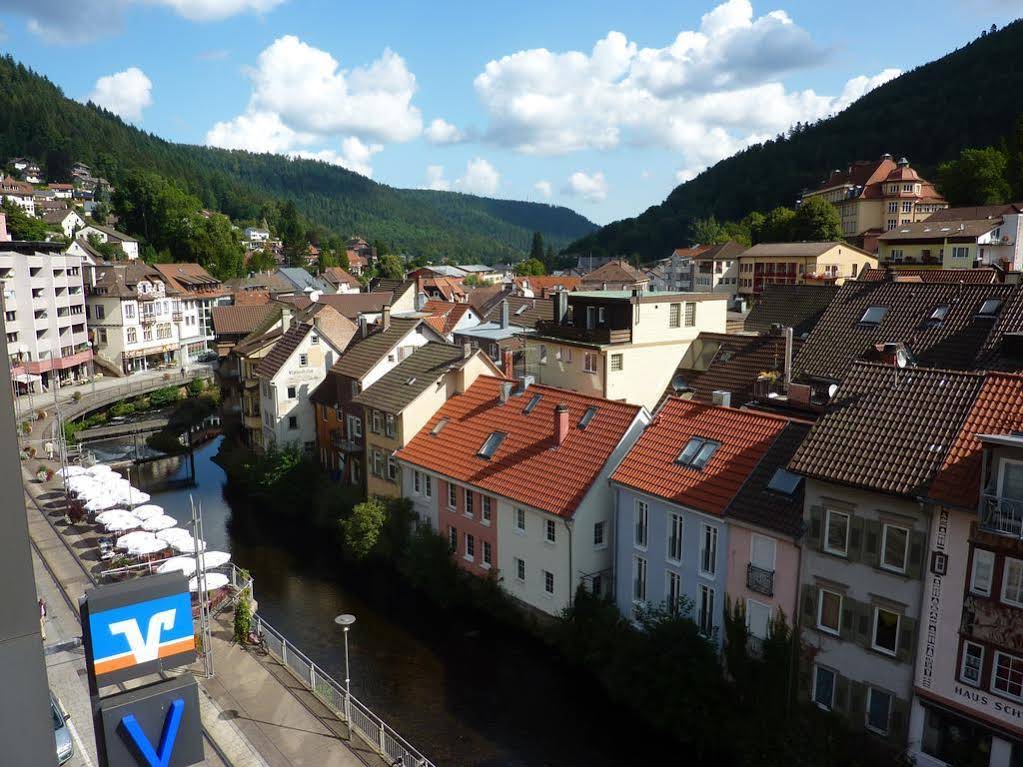 Traube