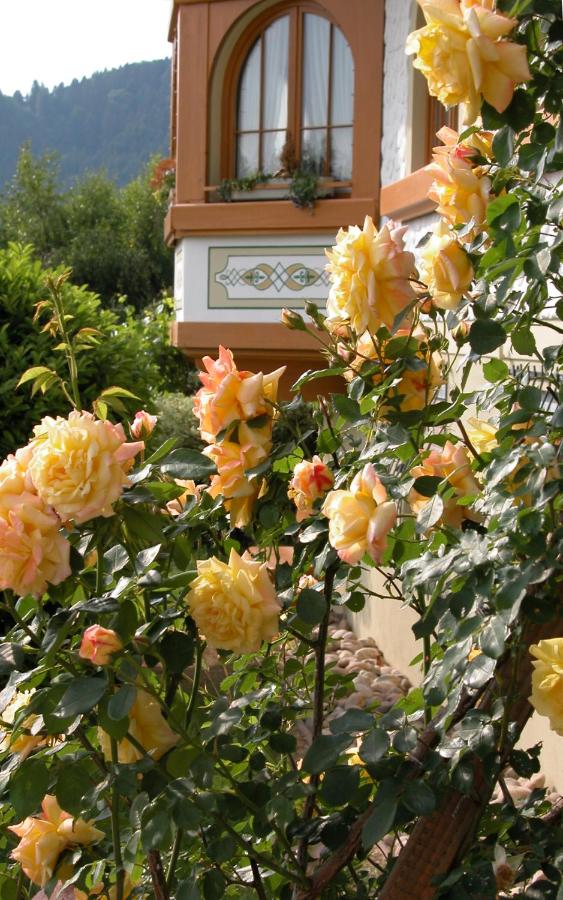 Ringhotel Schwarzwald Hotel Silberkönig