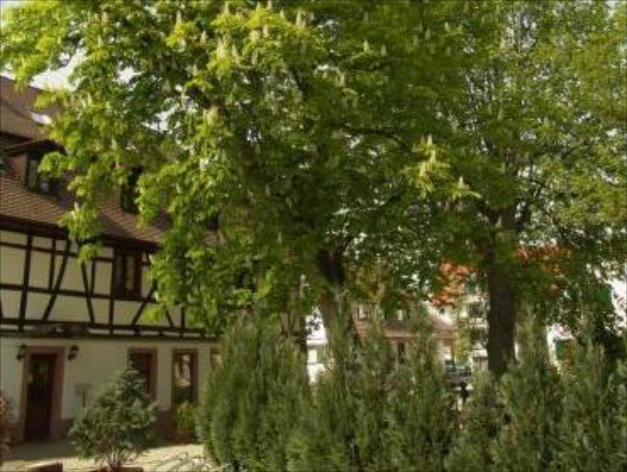 Die Krone Historisches Gasthaus
