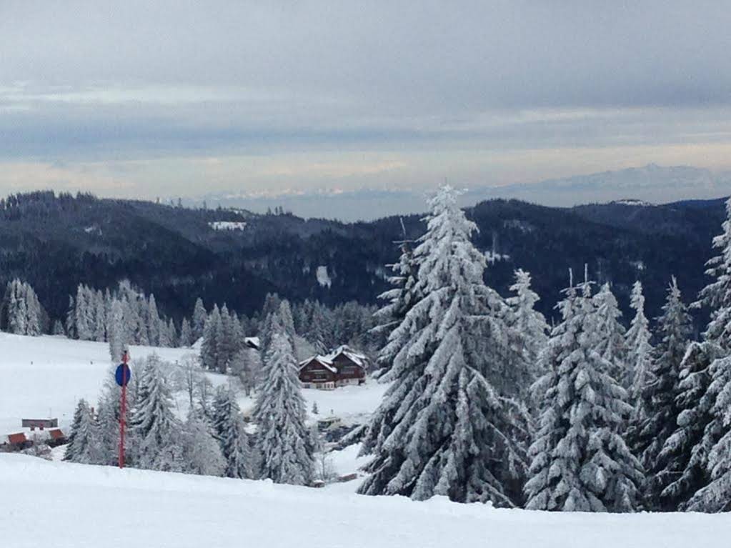 Pop-Up Stuub Bierhaeusle Feldberg