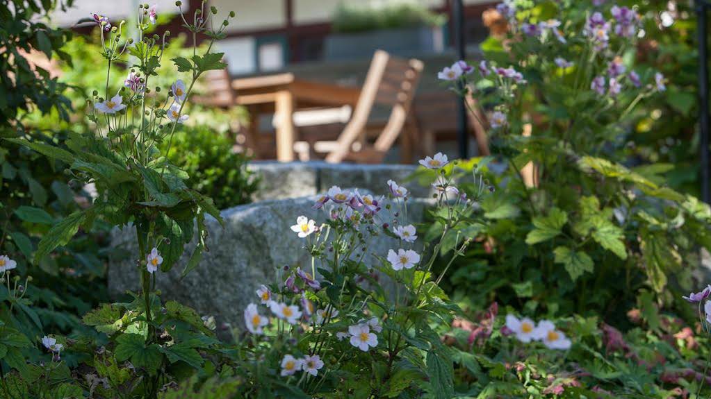 Gasthaus zum Hirsch