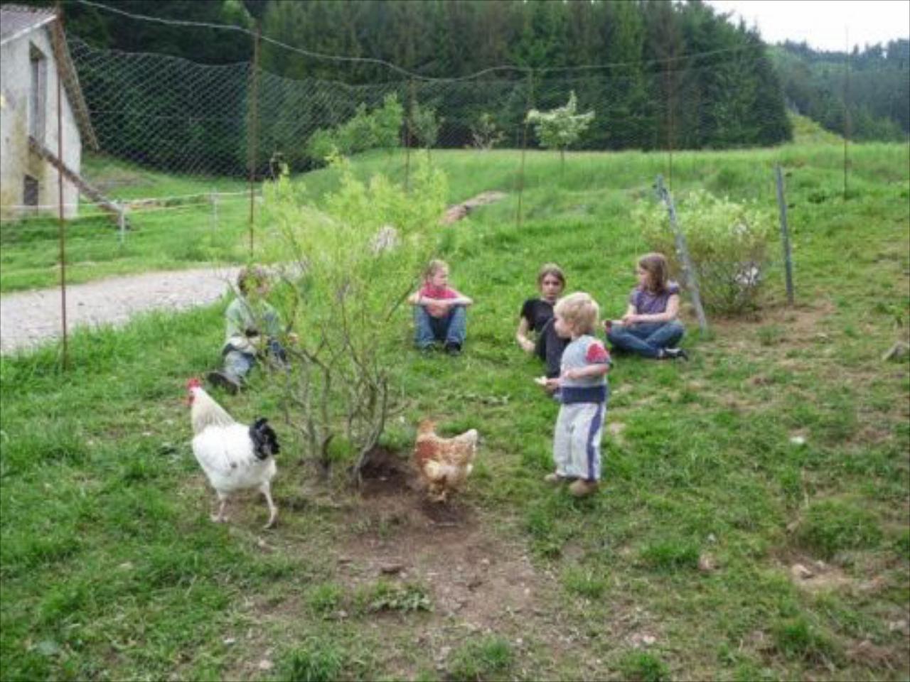 Wäldebauernhof