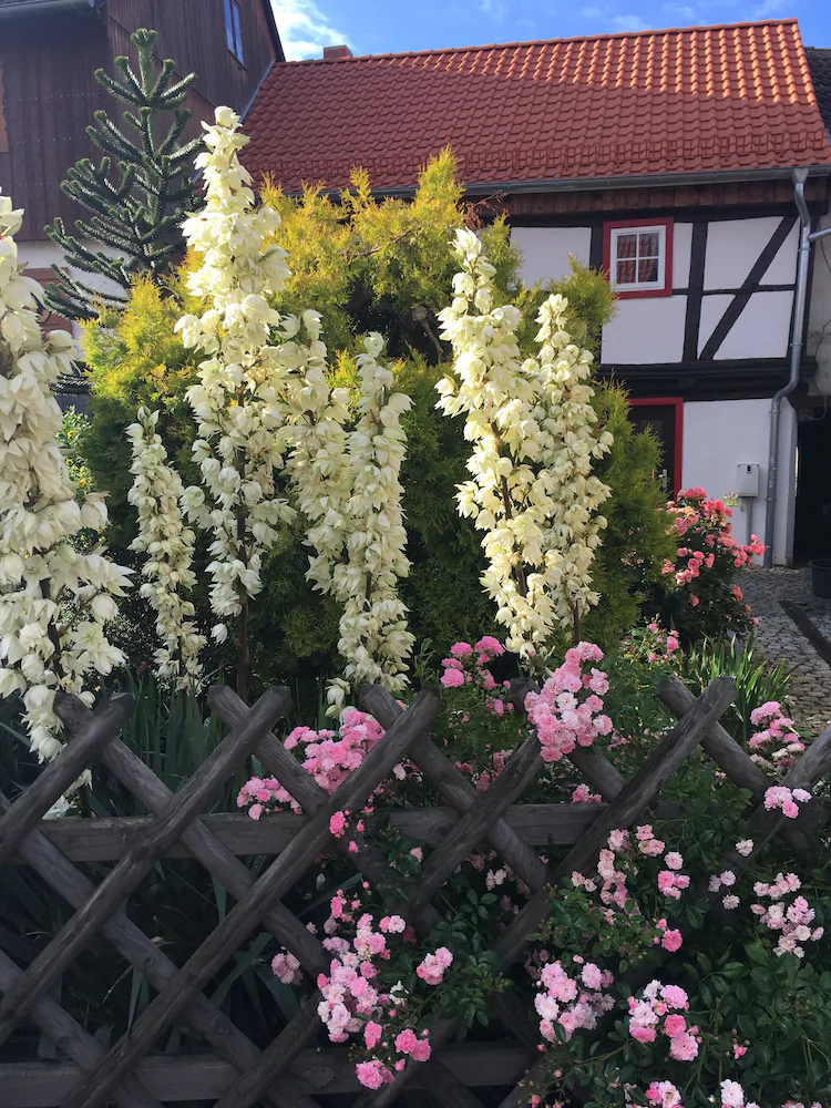 Gesindehaus Bornecke