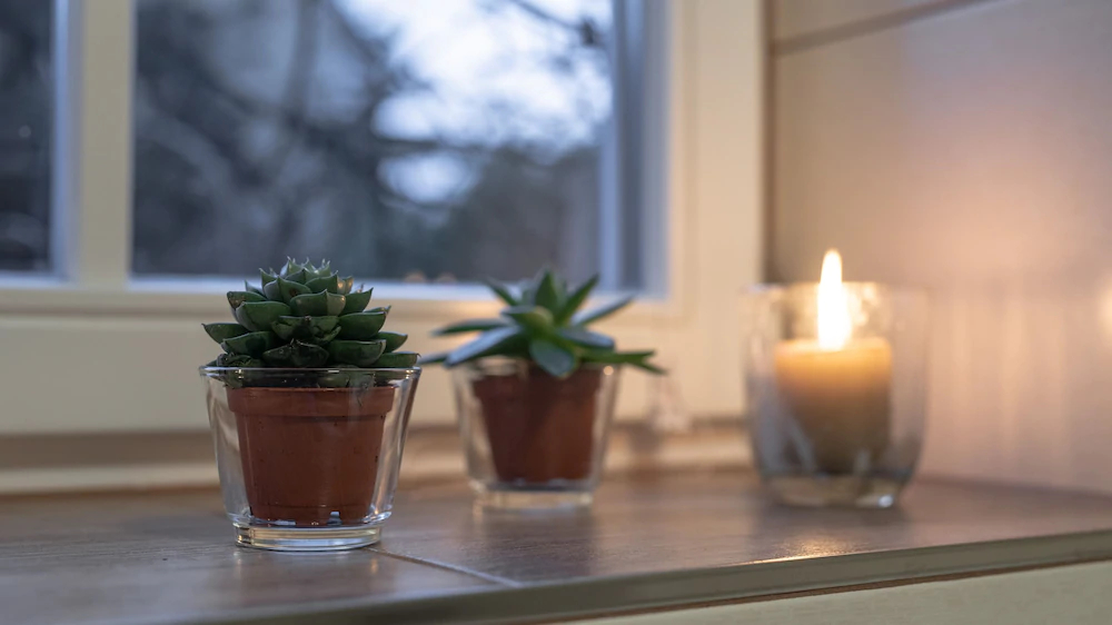 Gesindehaus Bornecke