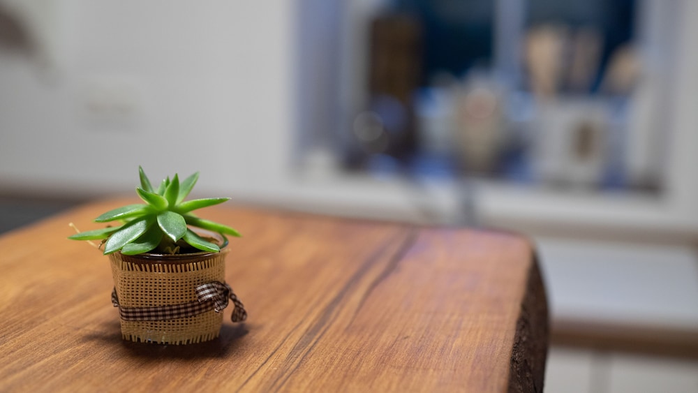 Gesindehaus Bornecke