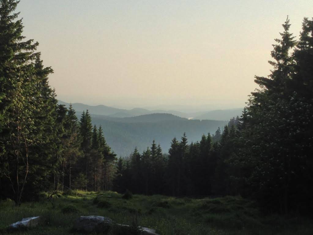 Primum Hotel Braunlage