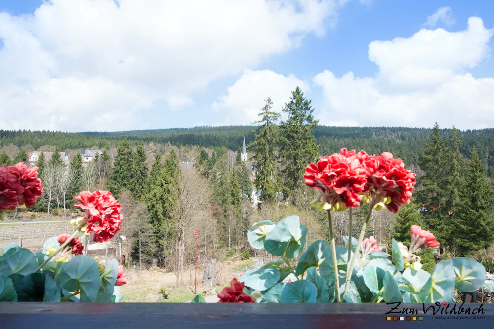 Ferienanlage Zum Wildbach