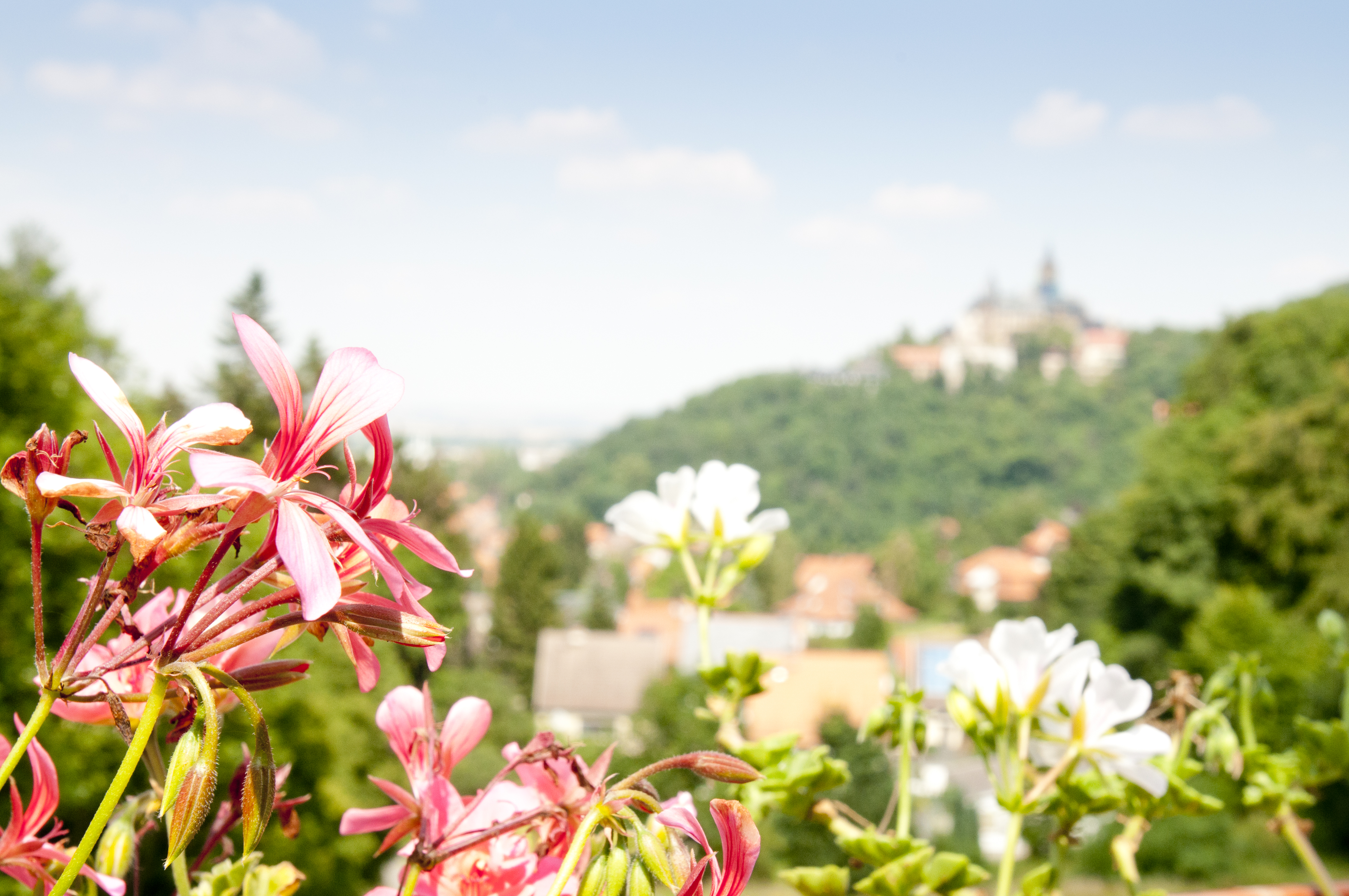REGIOHOTEL Schanzenhaus