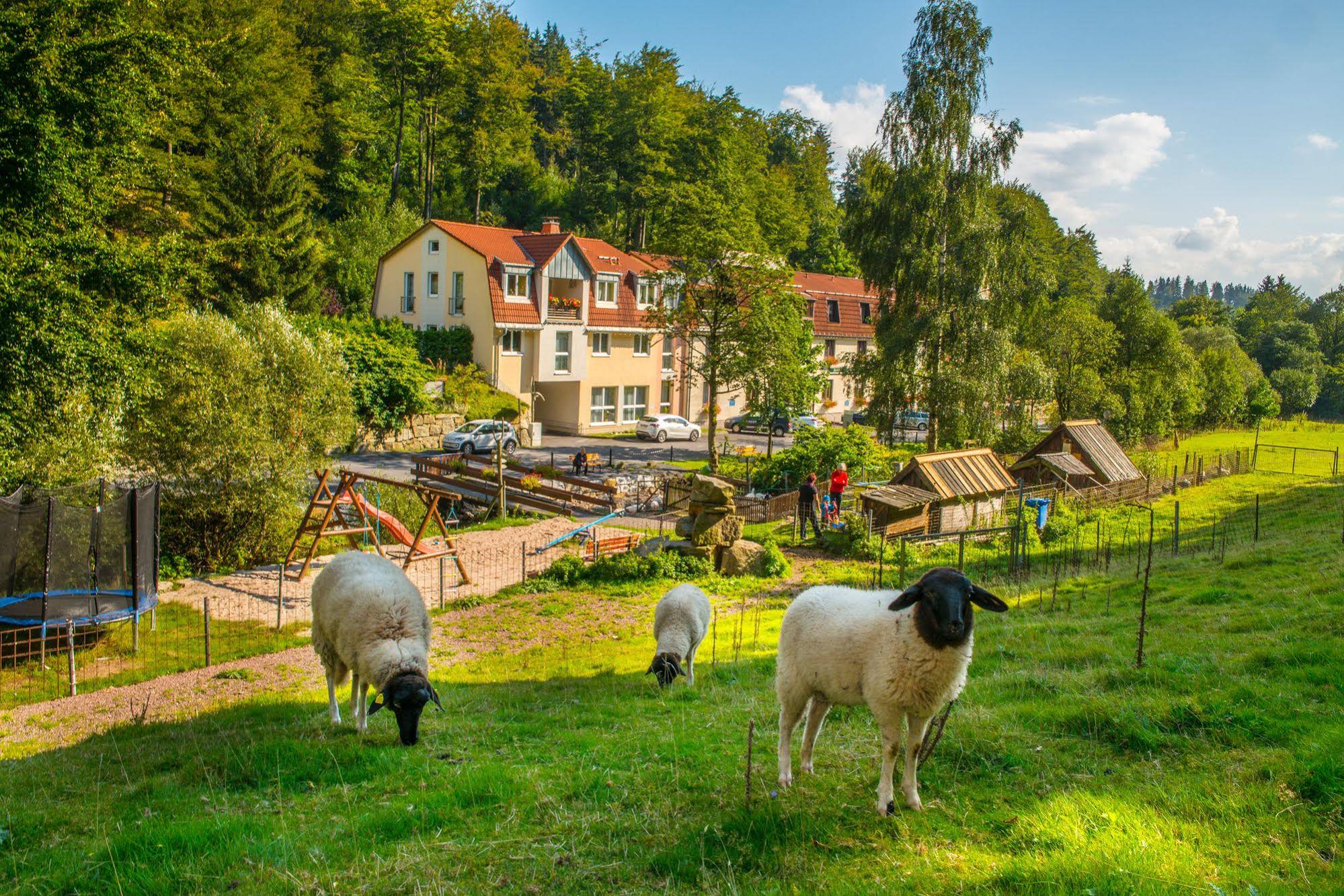 Waldmühle